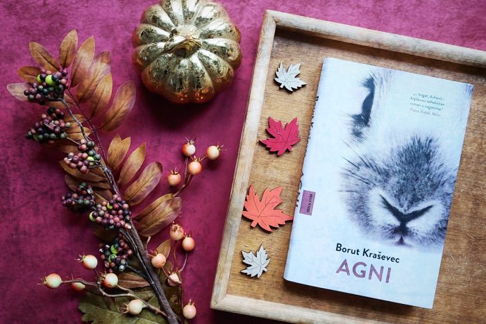 Predstavljanje romana Boruta Kraševca